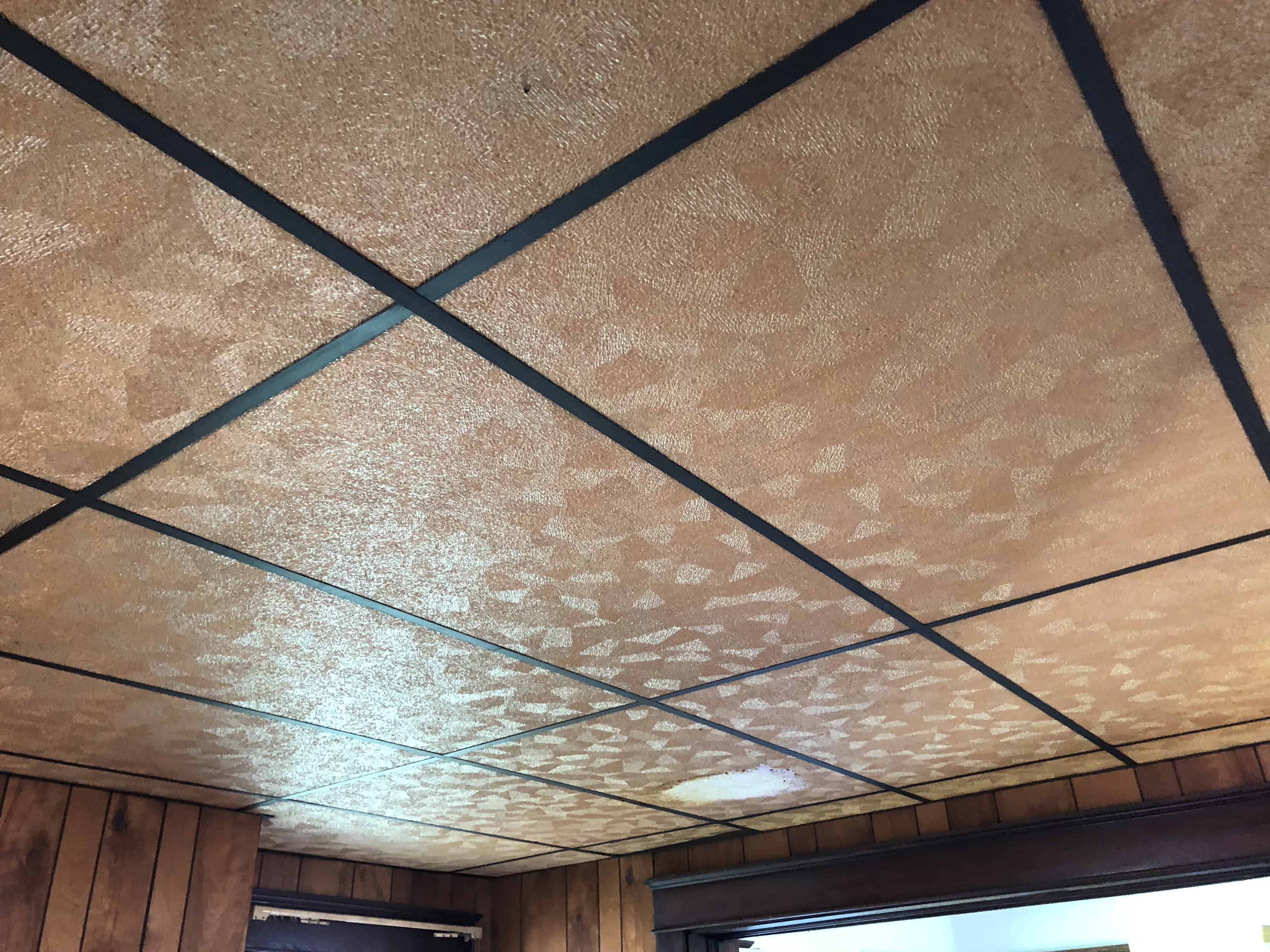 Acoustical Ceiling Tile Cleaning - Nationwide Services How To Clean Ceiling Tiles Without Removing Them